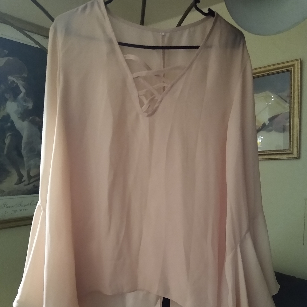Beautiful pink sheer blouse